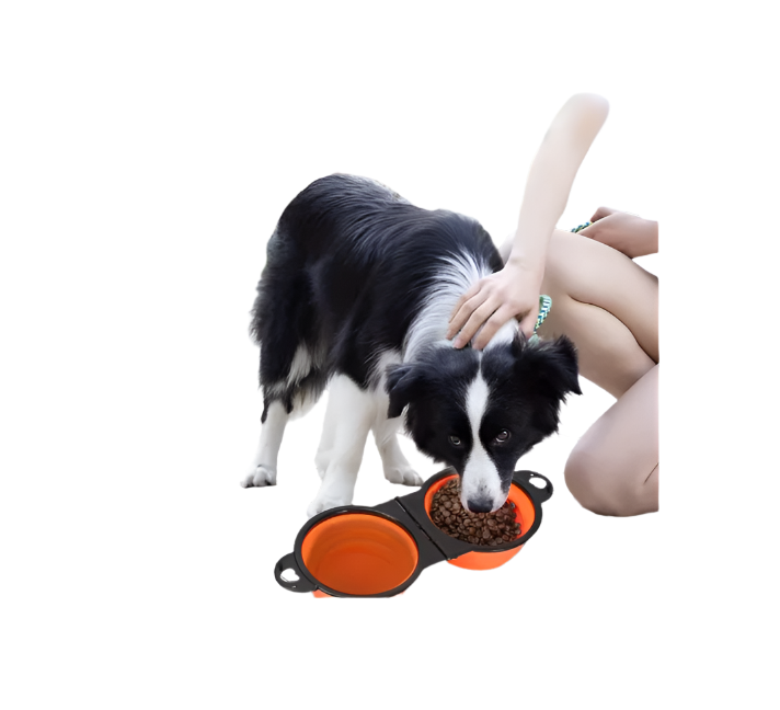 Double pet travel bowl, collapsible silicone feeder for dogs, adjustable portable food & water dish