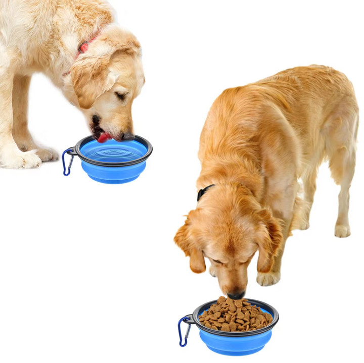 Green collapsible dog travel bowl with carabiner clip, ideal for outdoor adventures & pet hydration