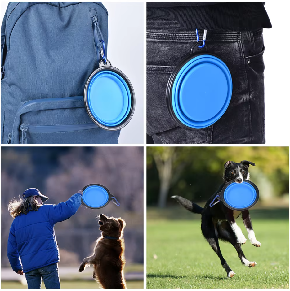 Compact rose silicone dog bowl, collapsible for travel, with a handy carabiner for attachment
