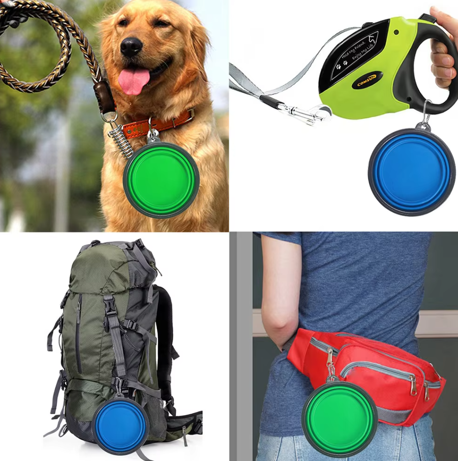 Collapsible dog travel bowl, clear silicone, with a sturdy carabiner for easy attachment to bags