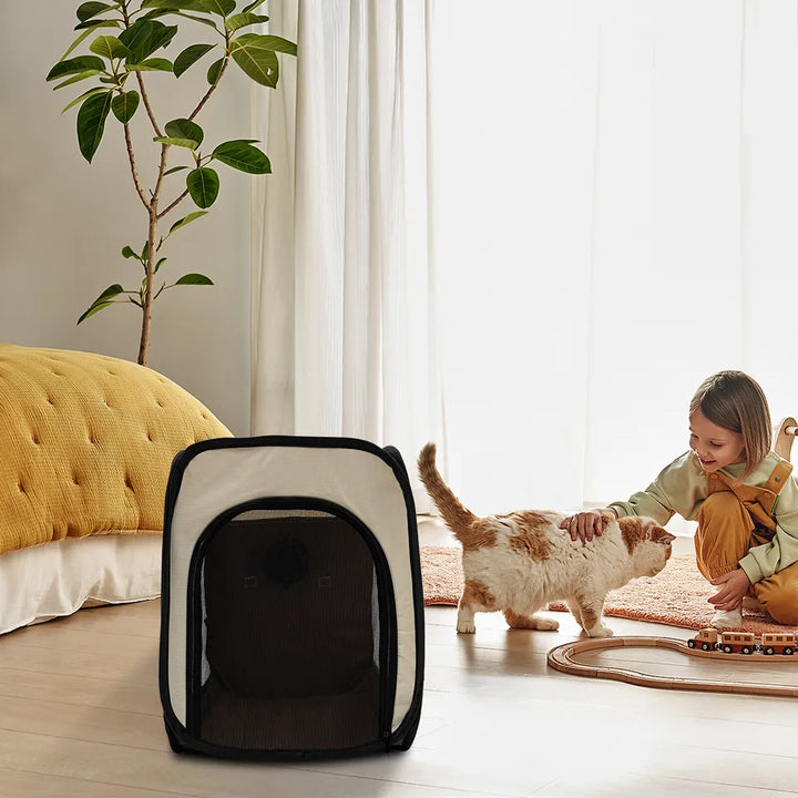 Small dog car carrier, collapsible design for easy storage, perfect for pet transport.