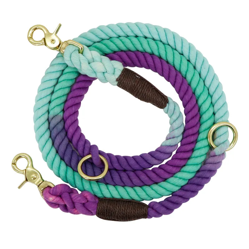 Eco-friendly colorful cotton rope dog leash with strong snap hook, a stylish pet accessory for daily dog walking.