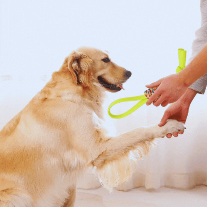 Colorful durable rope dog chew toy for active play and dental health, pet supplies
