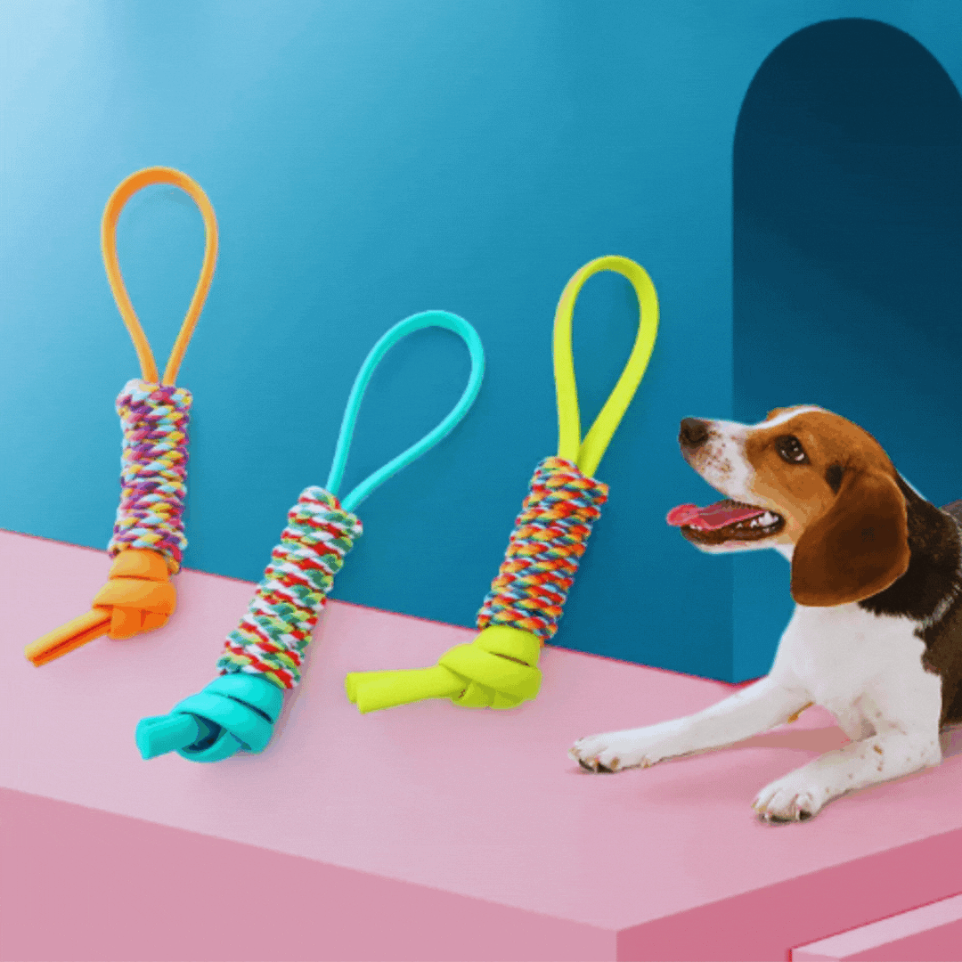 Unisex multi-colored rope dog toy, perfect for tugging and improving canine dental hygiene
