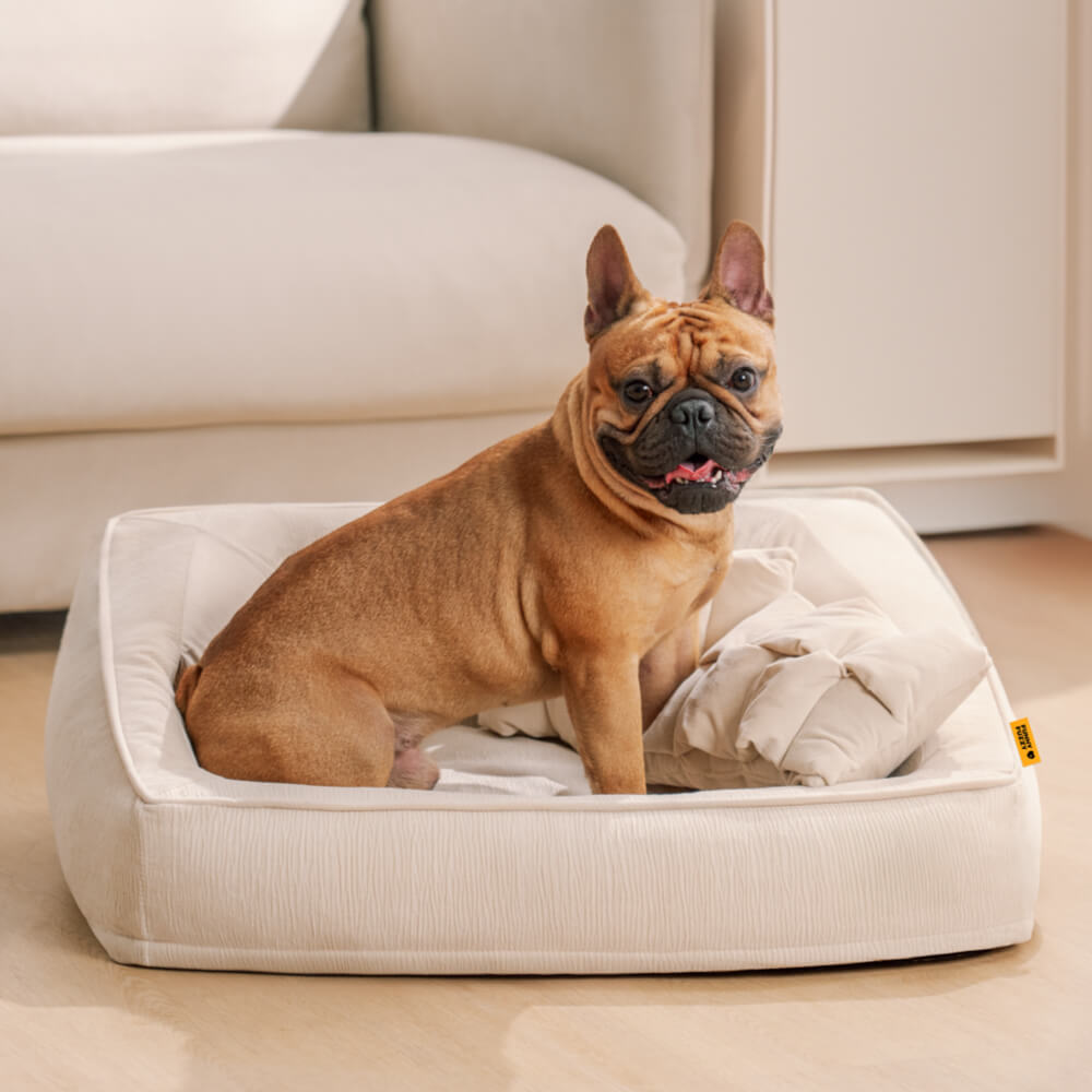 Washable orthopedic dog bed in a sofa design, with soft pillows for pet comfort & support.