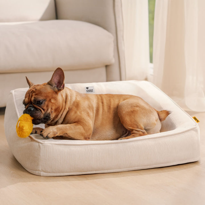 Plush pet sofa bed with therapeutic foam support, includes two cozy pillows for animals.