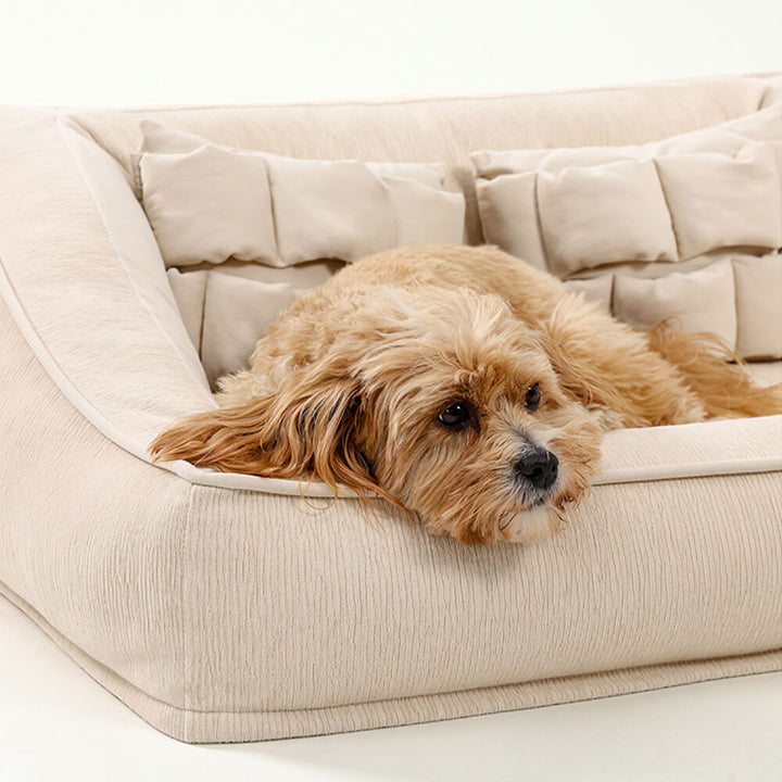 Gray orthopedic dog bed with bolsters & soft pillows, offering advanced pet joint comfort.
