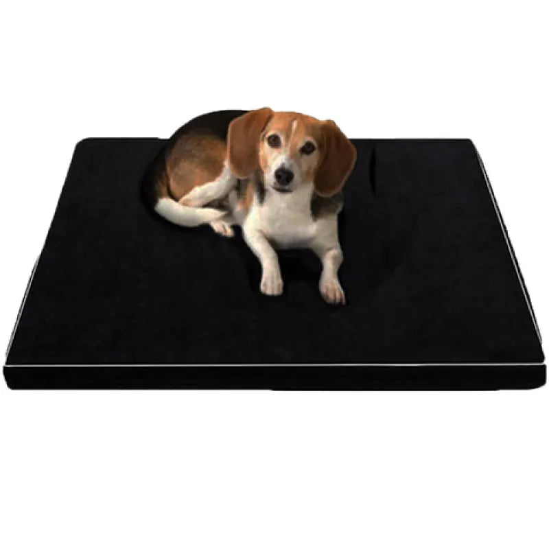 Comfortable calming dog bed with non-slip base for pet comfort and anxiety relief