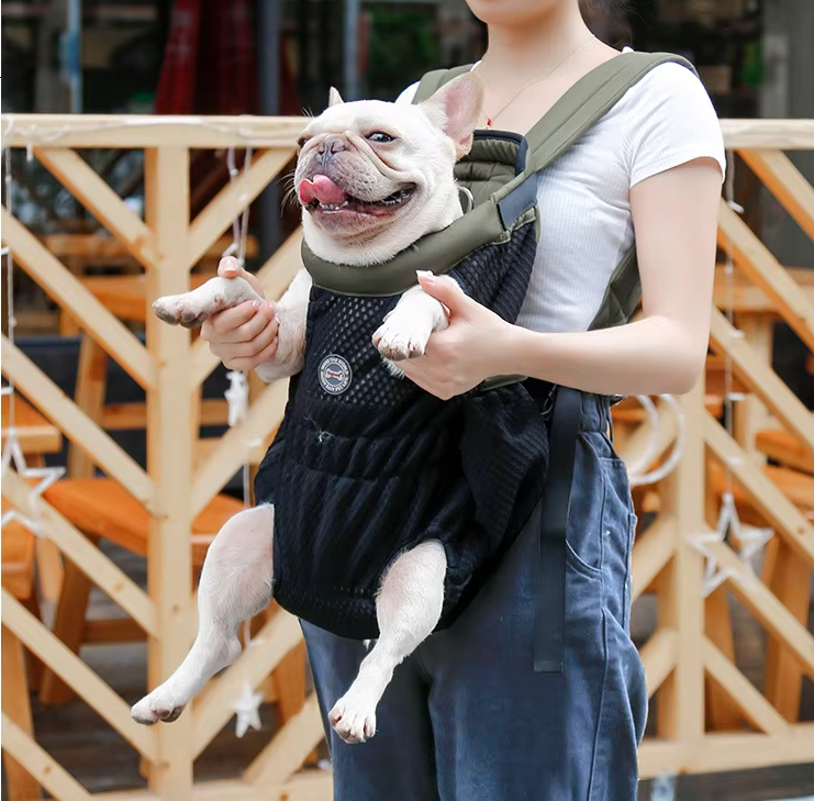 Comfortable pet backpack, a walking essential for small dog owners during car journeys.