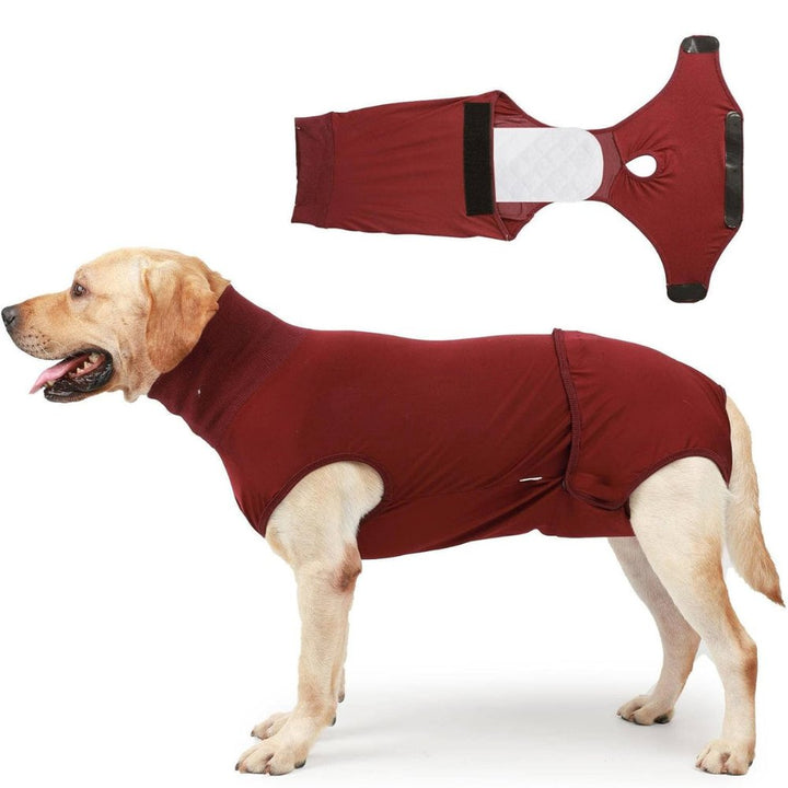 Comfortable dog recovery suit for wound protection & post-surgery care. Excellent cone alternative for healing pets.