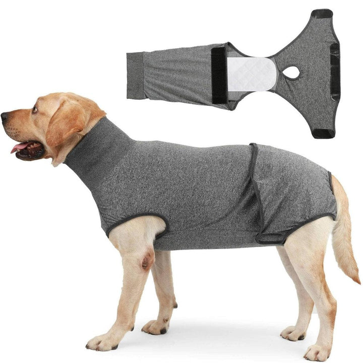 Soft dog recovery suit, a comfortable cone alternative, reduces dog anxiety & protects surgical wounds post-op.