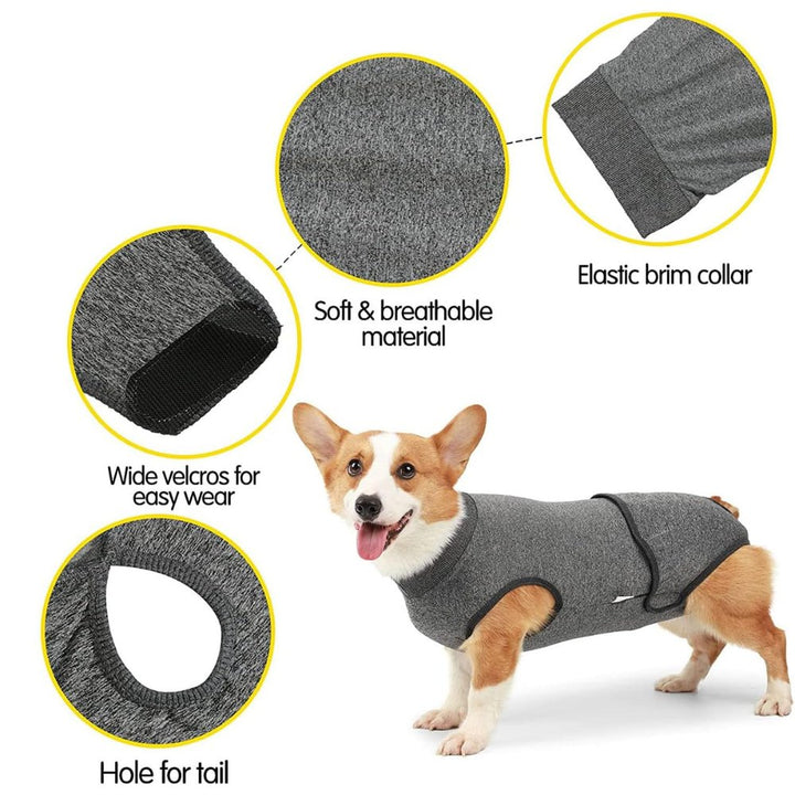 Dog recovery suit for heat cycle protection, shedding control, & comfortable wound coverage during pet care.