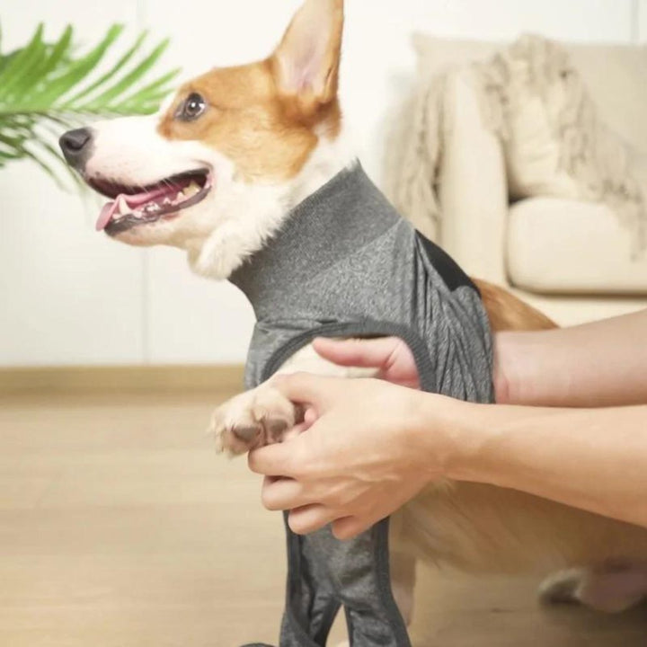 Veterinary-recommended dog recovery suit. Comfortable wound protection, perfect for post-surgery & pet health.