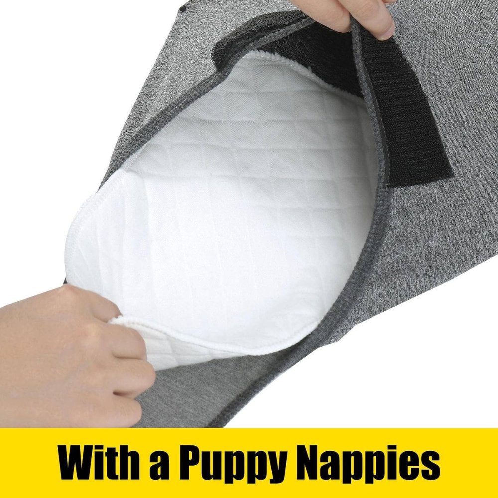Full-body dog recovery suit ensures complete wound protection, anxiety relief & comfortable post-surgery wear.