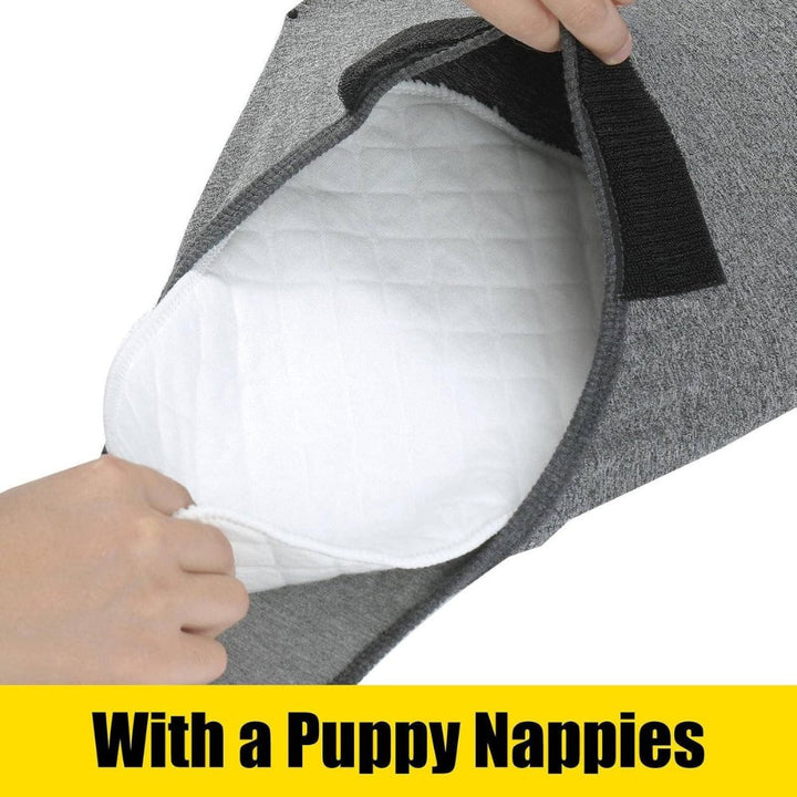 Full-body dog recovery suit ensures complete wound protection, anxiety relief & comfortable post-surgery wear.