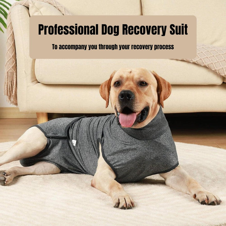 Comfortable dog recovery suit, the perfect cone alternative for wound protection & stress-free pet recovery.