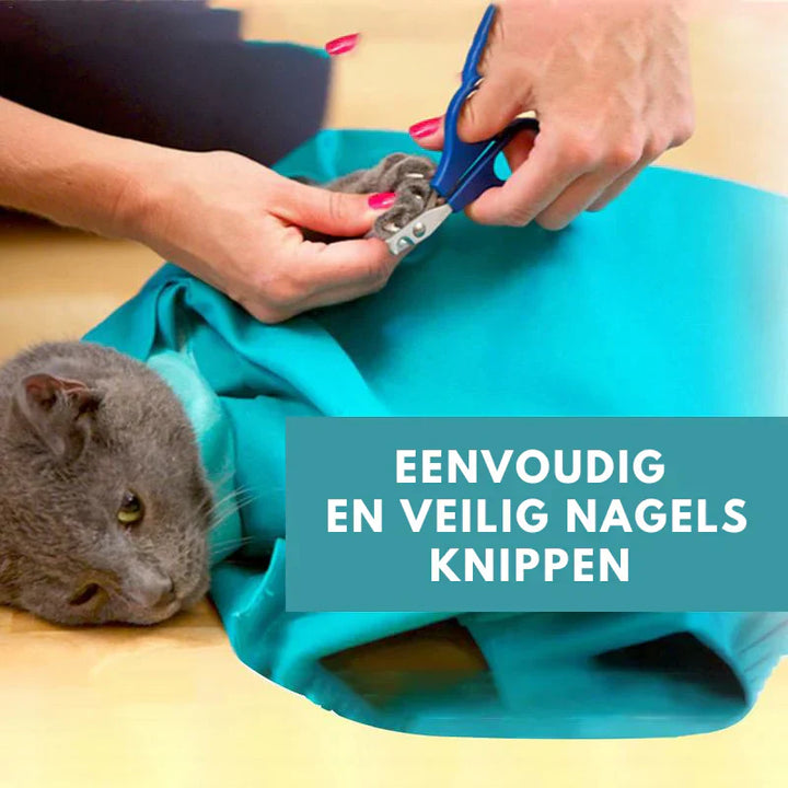 Front view of comfortable cat travel bag, showcasing mesh panels for air circulation and pet visibility