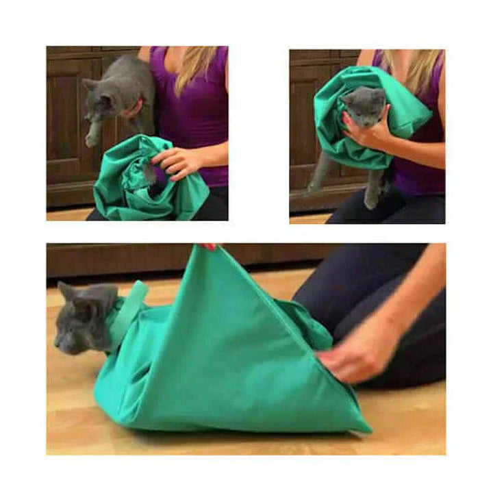 Spacious pet travel bag for small cats, ensuring comfort and safety during animal transport