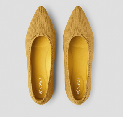 Classic women's ballet flats, comfortable spring footwear for any occasion.