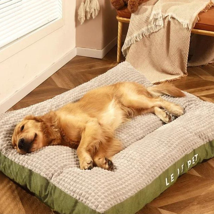Soft washable pet bed, a cozy fleece dog cushion perfect for pets to relax. Detachable cover for easy cleaning.