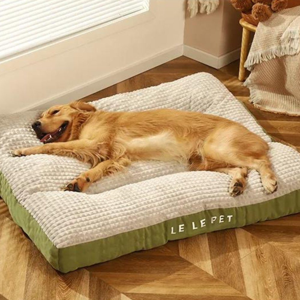 Fleece pet bed, designed for ultimate comfort. This washable dog bed features a soft cushion and detachable cover.