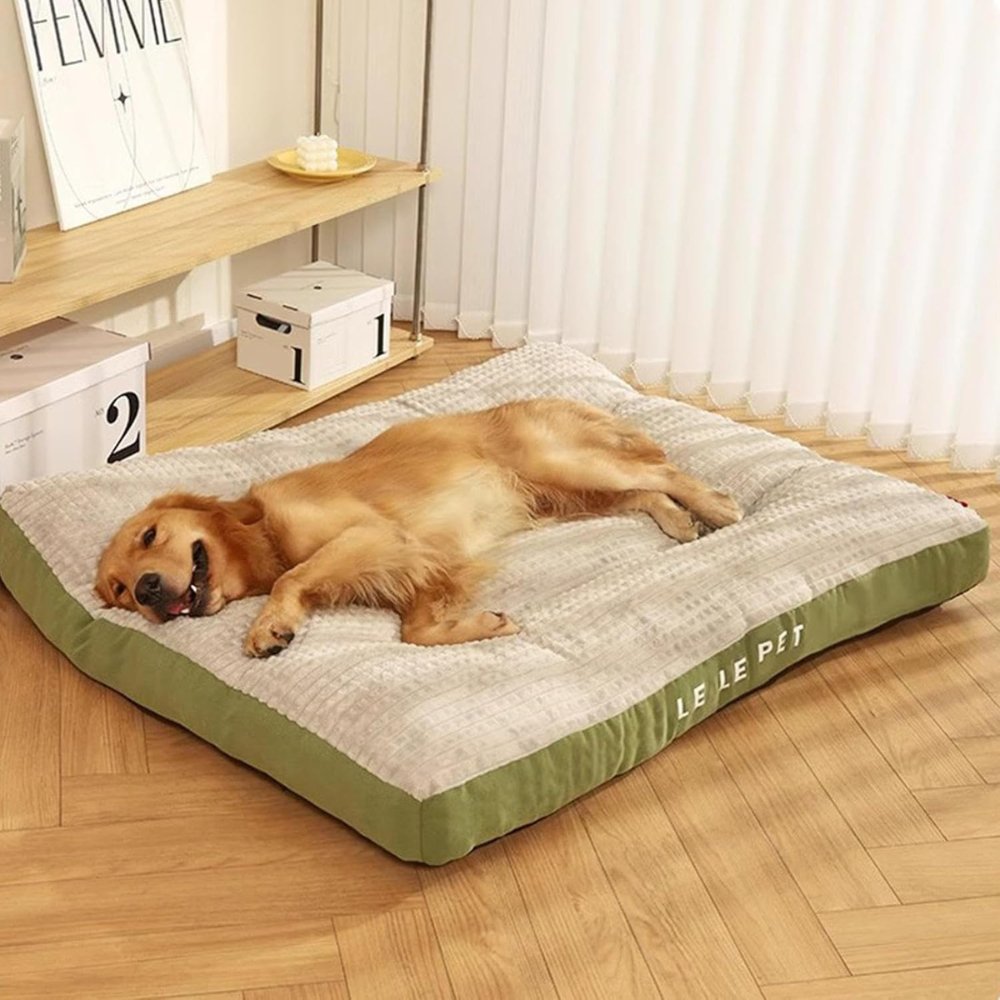 Warm and inviting dog bed crafted from plush fleece. A soft pet cushion with an easy-to-clean washable cover.