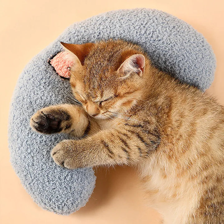 Hypoallergenic pet bed, easy-clean dog cushion, offering a serene space for pets to unwind