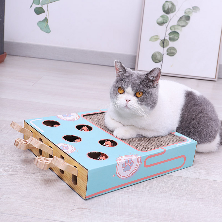 Compact 3-in-1 eco-friendly cat playground with scratching post & interactive features for small spaces