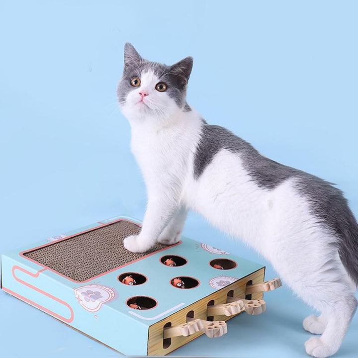 Eco-friendly cat playground with corrugated scratching surface, perfect for sustainable pet play