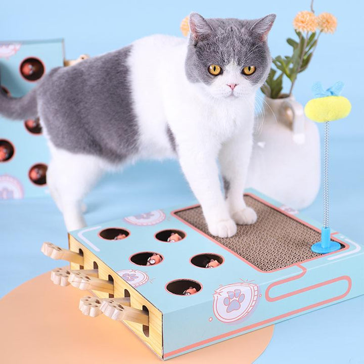 Interactive cat furniture: compact 3-in-1 cat playground with multiple levels & scratching post