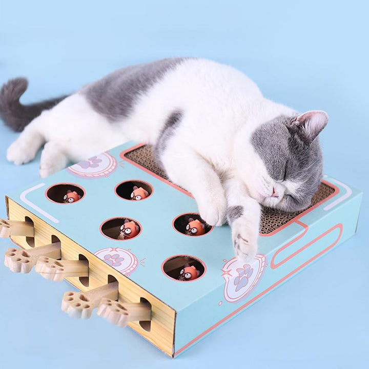 Sustainable pet activity center: compact eco-friendly cat playground, provides scratching & play
