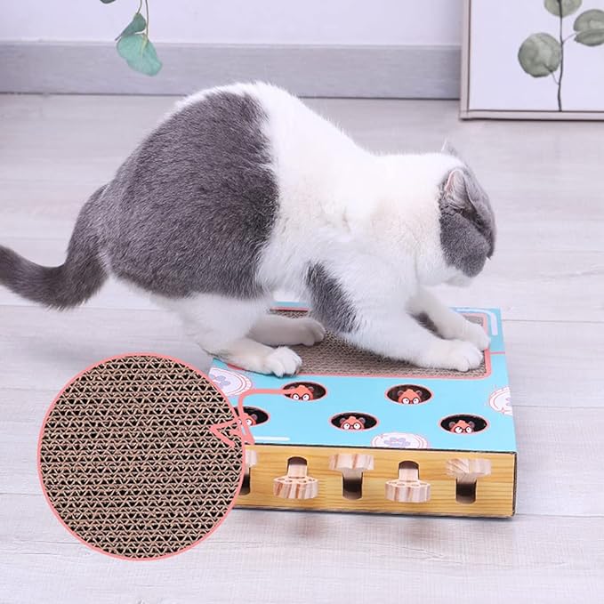 Small cat condo and house: compact eco-friendly cat playground with integrated scratching post