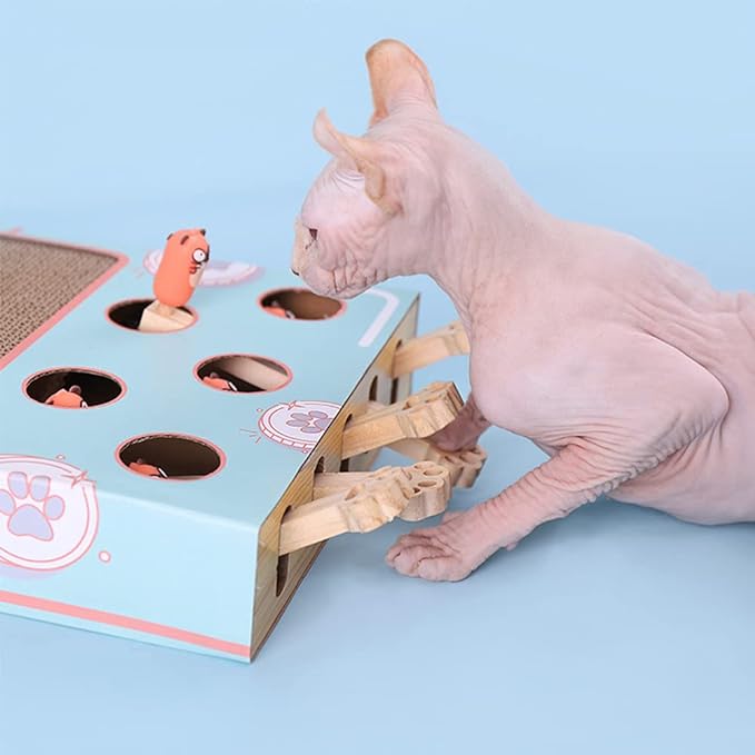 Corrugated cat toy: 3-in-1 eco-friendly cat playground, durable & ideal for active cats