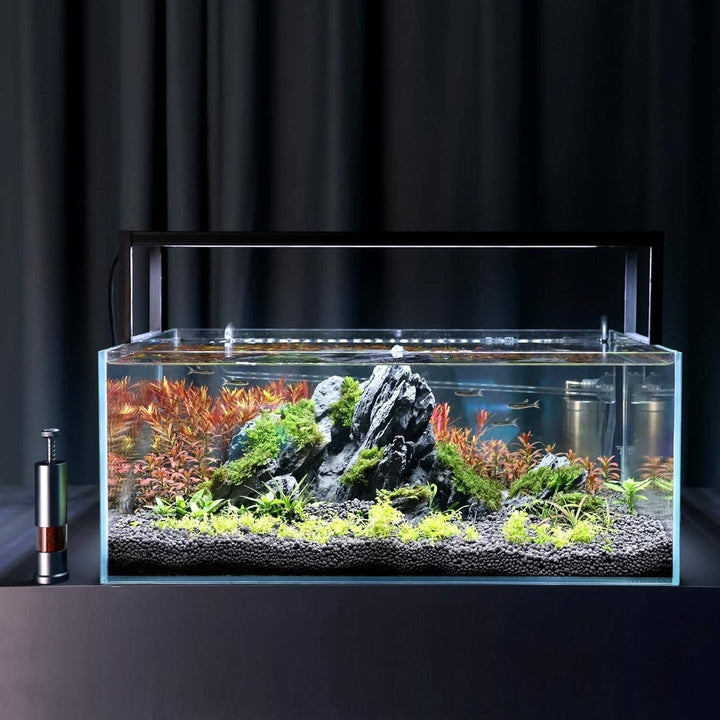Small aquarium automatic feeder with compact design, providing reliable and precise feeding for fish