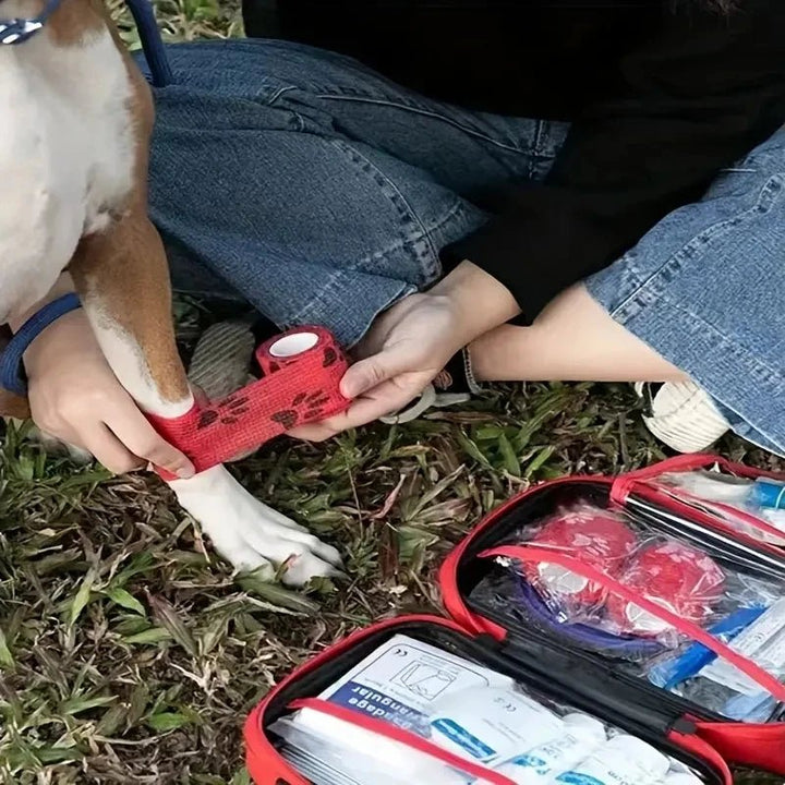 Portable pet first aid kit with handle, compact design for travel pet supplies, dog & cat emergency preparedness