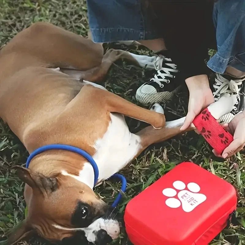 Close-up of a compact pet first aid kit for animals, showcasing 'First Aid' label, critical for pet health