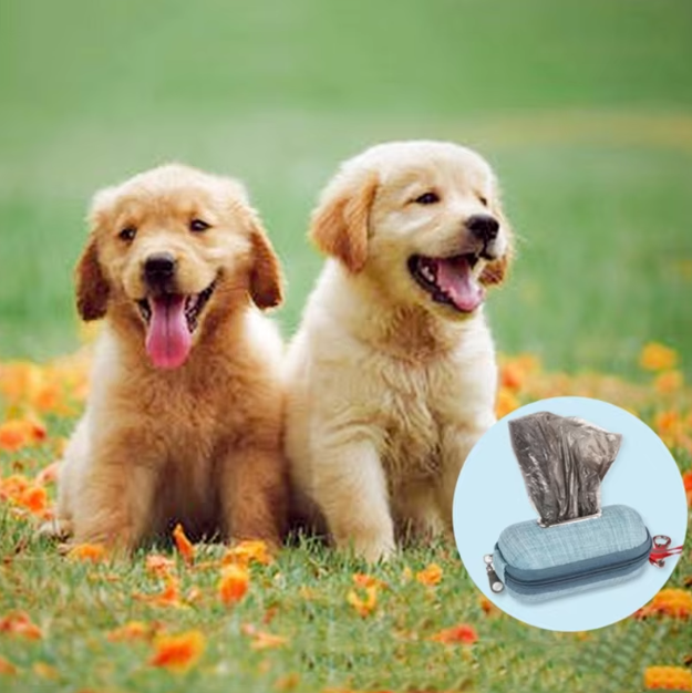 Compact pet waste bag dispenser with handle, black, attached to a leash for dog walking hygiene
