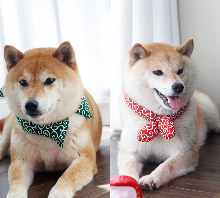 Dog wearing a blue cooling bandana featuring a traditional pattern, ideal summer dog gear.