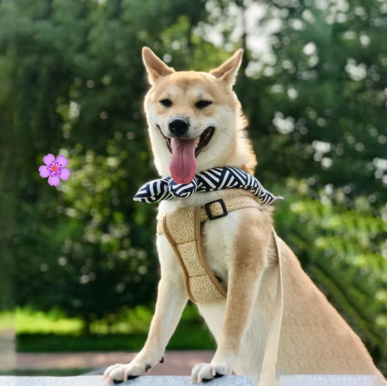 Close-up of a washable cooling dog bandana with a vibrant traditional pattern for pet comfort.
