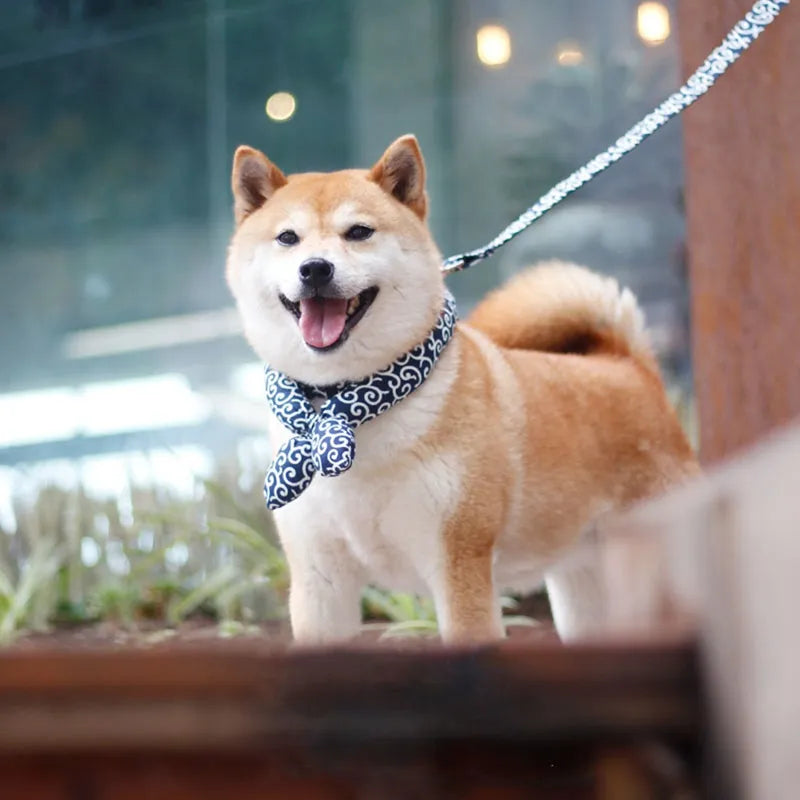 Wet cooling dog bandana with a stylish traditional pattern, ready for pet comfort in heat.