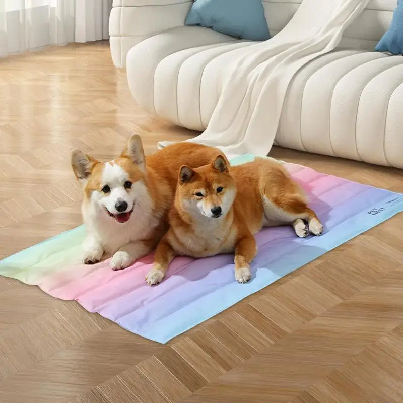 Rainbow gradient self-cooling pet mat, perfect for cats & small dogs, easy to clean comfort