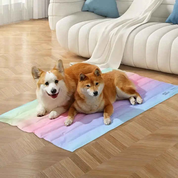 Rainbow gradient self-cooling pet mat, perfect for cats & small dogs, easy to clean comfort