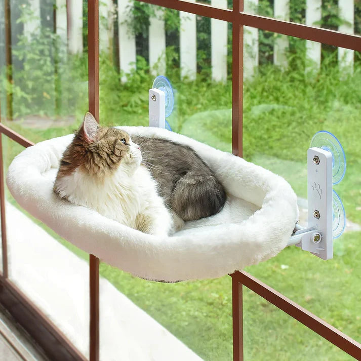 Cordless cat window perch installed on a window, providing a high vantage point for sunbathing.