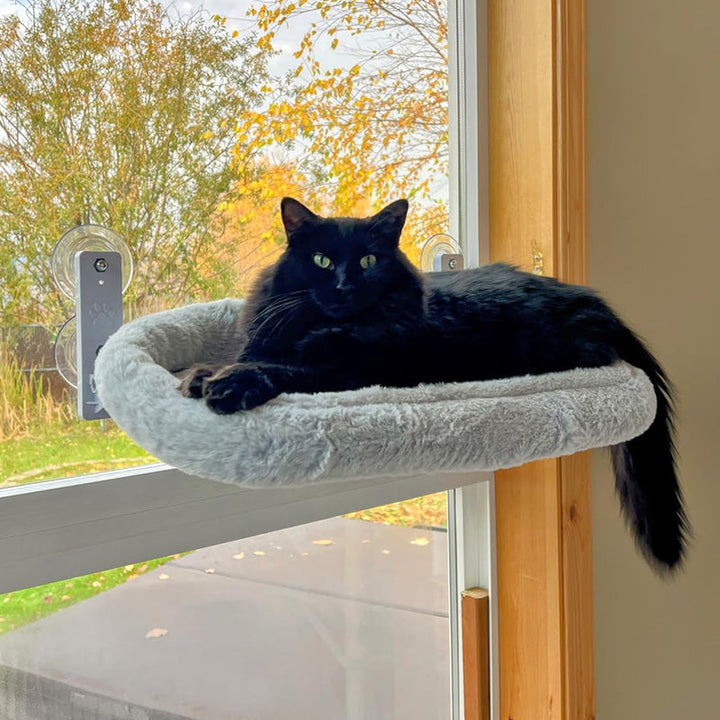 Modern cordless cat window perch with a soft white cushion, essential cat accessories for sun lovers.
