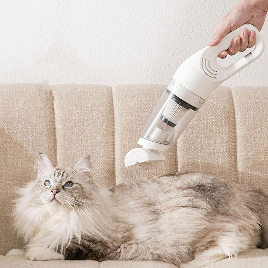 Cordless pet hair vacuum on a sofa, removing dog hair, for portable home cleaning
