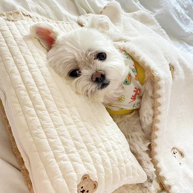 Soft cotton pet bed and blanket set with embroidered animal design for cozy dog comfort