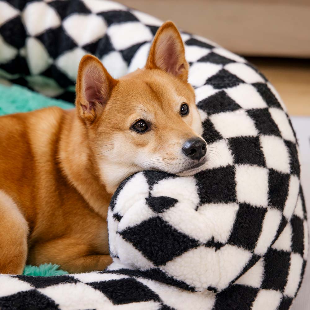 Front view of a donut dog bed with a distinct argyle pattern, pet-friendly fabric.
