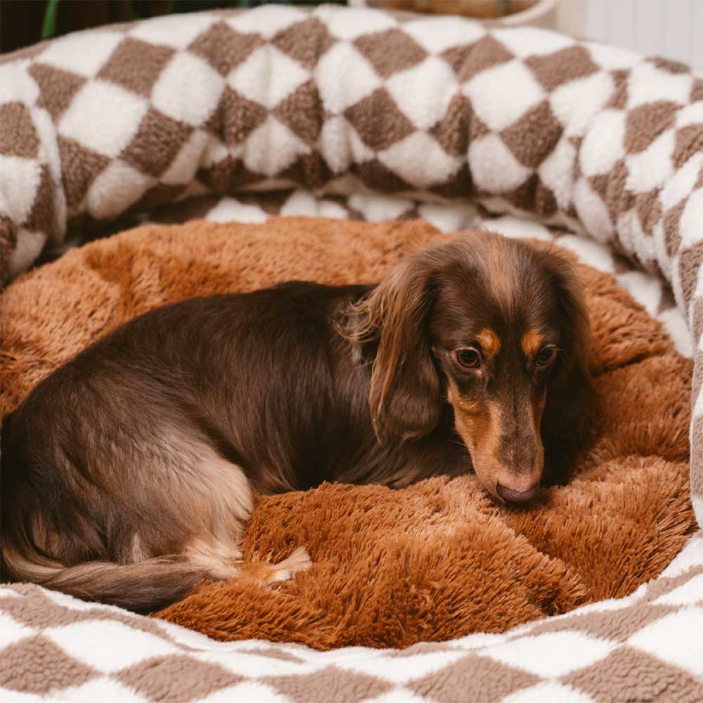Close-up of the argyle pattern on a cozy, washable pet donut bed.