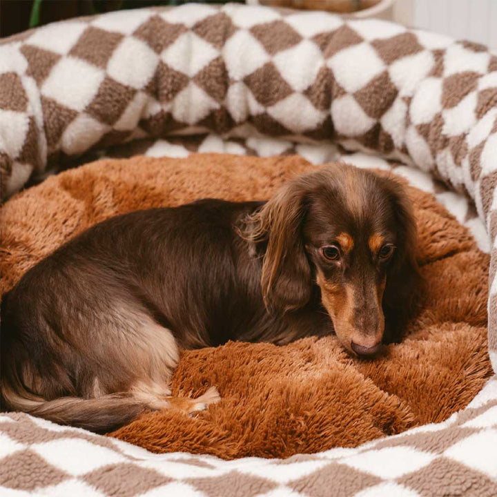 Close-up of the argyle pattern on a cozy, washable pet donut bed.