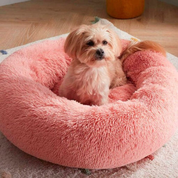 Pet curled up happily in a round calming dog & cat bed, anti-anxiety design, washable